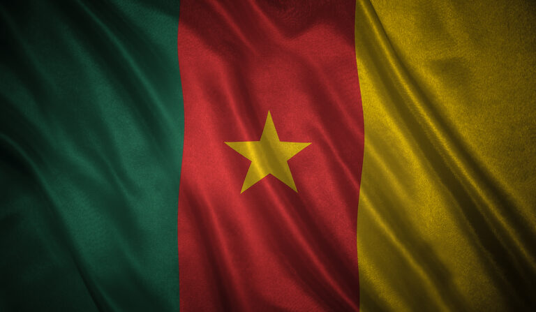 La protection des données à caractère personnel au Cameroun (loi 2024/017)
